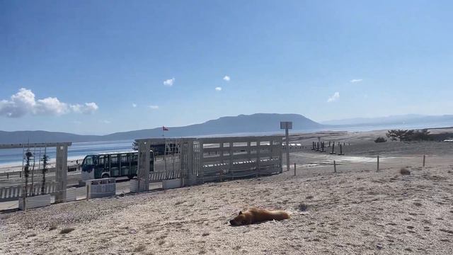 Salda Lake | Salda Gölü | Салдинское озеро | #saldagölü #salda #turkey смотреть онлайн