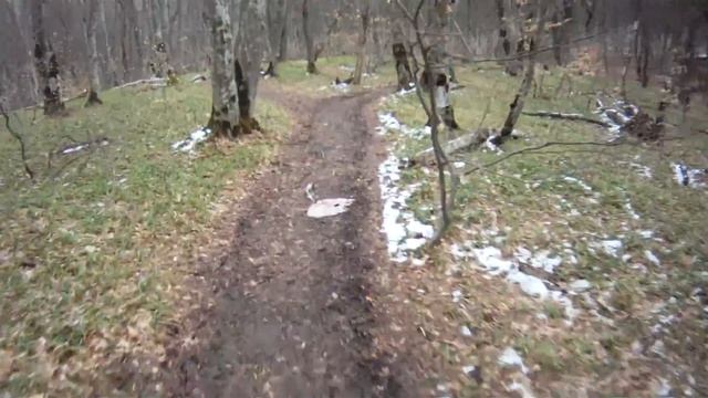 Тестирование ЮБР на Петрошине К124 и Л239 смотреть онлайн