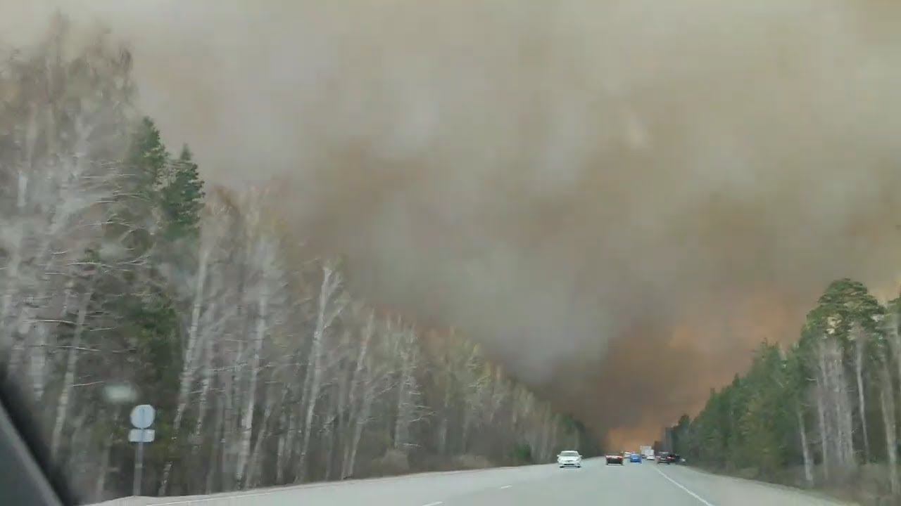 Пожар в лесу, трассу около Кургана перекрыли 29 апреля 2022 г.Fire in the forest смотреть онлайн