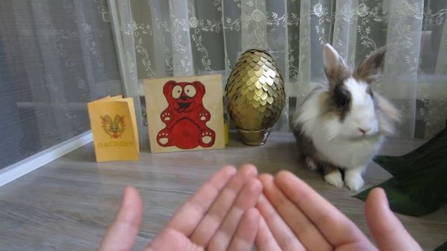 ПОМОЖЕМ КАНАЛУ ПОЗНАВАТЕЛЬ ! КРОЛИК БАФФИ И ЖЕЛЕЙНЫЙ МЕДВЕДЬ ВАЛЕРА ПРОТИВ ЖУЛИКОВ смотреть онлайн