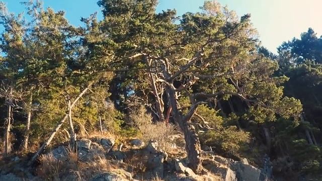 mini-short 4 : watmough kayak смотреть онлайн