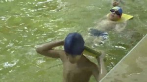 Занятие в младшей группе вольной борьбы. Бассейн - лягушатник.