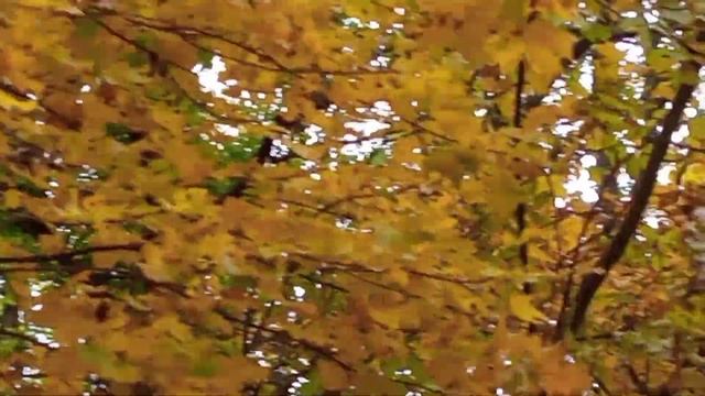 Гора Змейка, Минводы