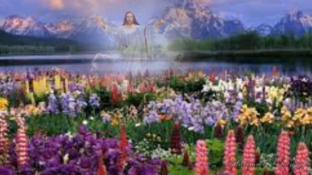 Сегодня Бог проснулся утром рано... Стихи Ирины Самариной-Лабиринт смотреть онлайн