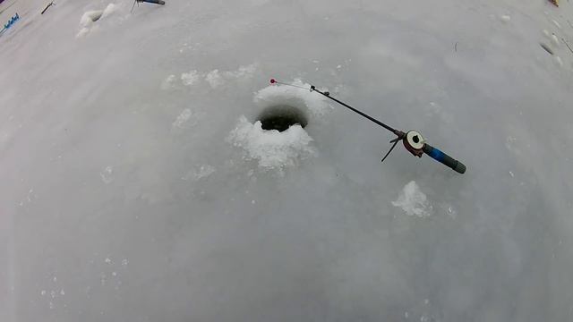 РЕЗВЫЙ КАРАСЬ!!! КОТОРЫЙ ВОРУЕТ УДОЧКИ!!! смотреть онлайн