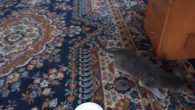 Теперь нас двое.Всё равно лучше, чем один. смотреть онлайн