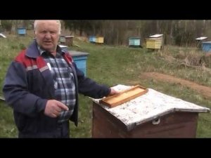 КАК ПОЛУЧИТЬ МАЙСКИЙ МЁД?
