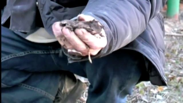 Дюк. Посадка