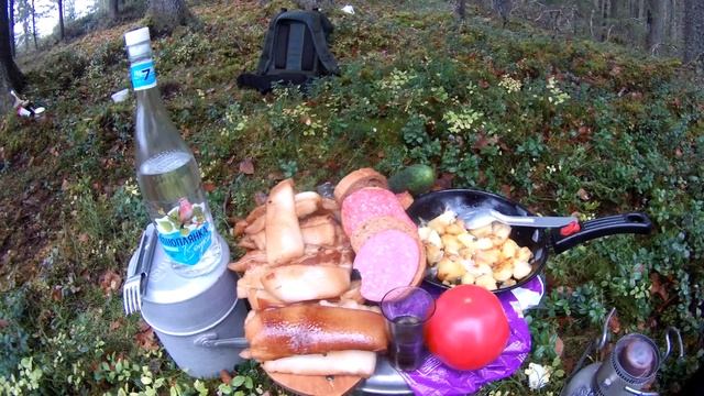 Поход с ночёвкой в лес к туманному озеру\Копчение сала в медицинском биксе смотреть онлайн
