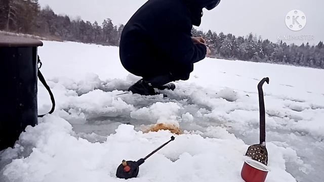 Первая рыбалка 2021.Лен.обл. Бокситогорский р-н. смотреть онлайн