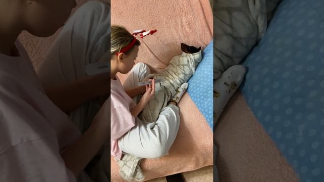 Ресси на маникюре#забавные животные#лайфхак по стрижке когтей смотреть онлайн