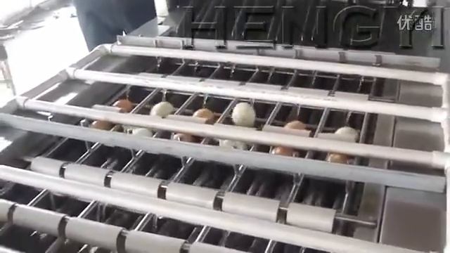 Оборудование Яйца, очистить от скорлупы.（Egg Double deck Peeling Machine） смотреть онлайн