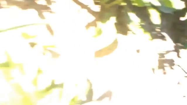 Настройка станции биологической очистки Vektor, септики в Череповце смотреть онлайн