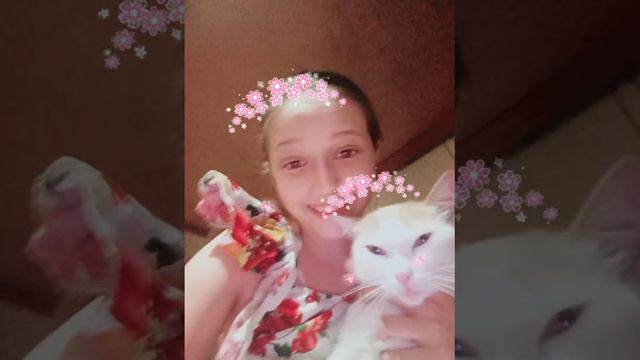 я и соня кошка моя 👧😺❤️💞 смотреть онлайн