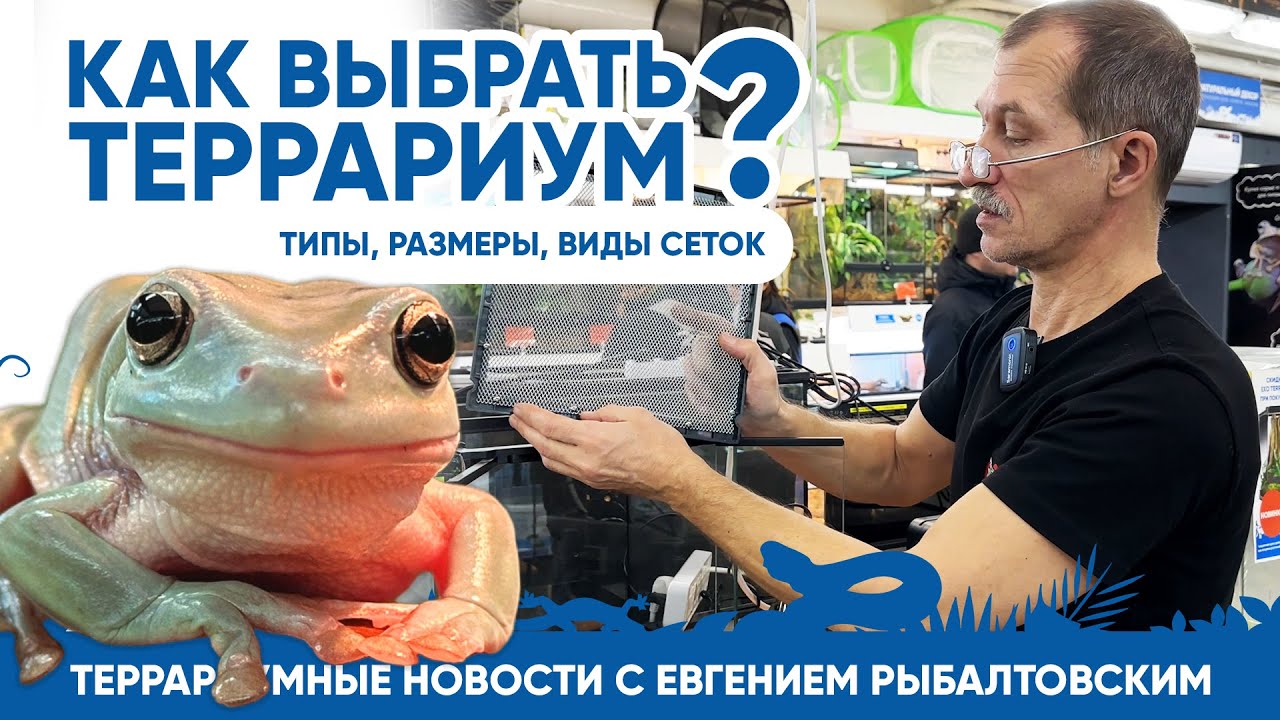 Террариумные новости с Евгением Рыбалтовским. Как выбрать террариум? смотреть онлайн