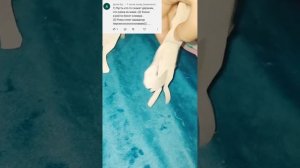 выполняю ваши задания)[ бумажные собаки из тт ]