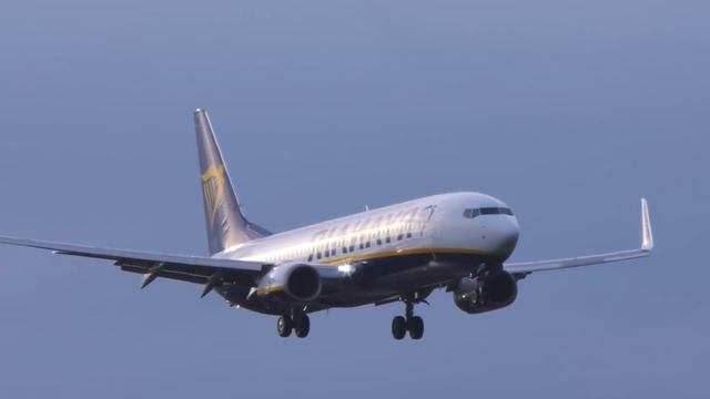 Самые Редкие Сражения Птиц, Снятые на Камеру... смотреть онлайн