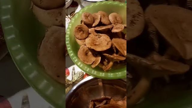 Ягодный Гриболов