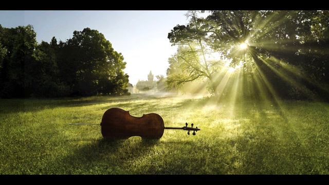 Ёжикина скрипка. Сергей Козлов