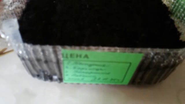 Посев цветов - сезон 2020 смотреть онлайн