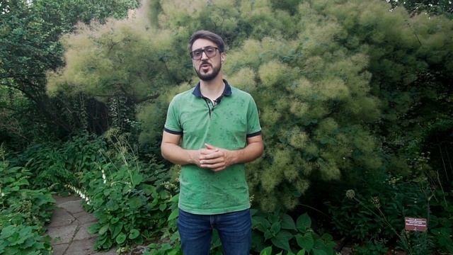 Почему НЕЛЬЗЯ делать АВТОПОЛИВ без ЁМКОСТИ ДЛЯ ПОЛИВА? | Как выбрать ЁМКОСТЬ ДЛЯ АВТОПОЛИВА? смотреть онлайн