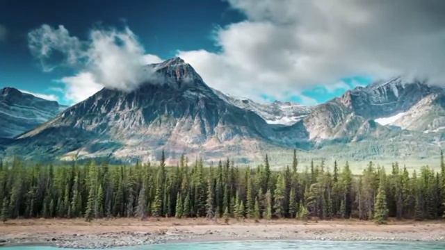 Христианский стих "В ТРАВЕ ЛЕЖАЛ ЛИСТ ОДИНОКИЙ ПОЖЕЛТЕВШИЙ" смотреть онлайн