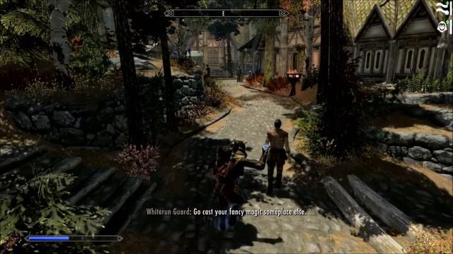 Let's Play Skyrim : The Argonian Mage Part 189, Lydia gets a new place смотреть онлайн