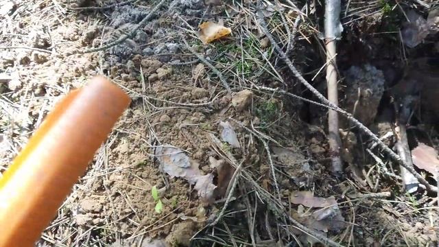 №9 КОП в Беларуси. Поля где ничего не было. Меч Викингов был рядом. смотреть онлайн