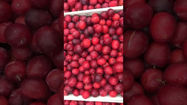 Алыча сорт Кубанская комета. Польза при сахарном диабете. Диета. Соусы ткемали и аджика из сливы. смотреть онлайн