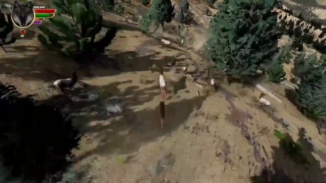 WolfQuest: Anniversary Edition. Прохождение игры. Часть 1. смотреть онлайн