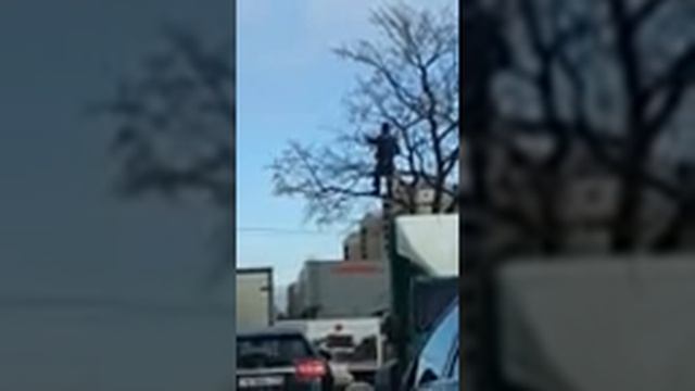 Трясёт деревья под металл +100500 смотреть онлайн