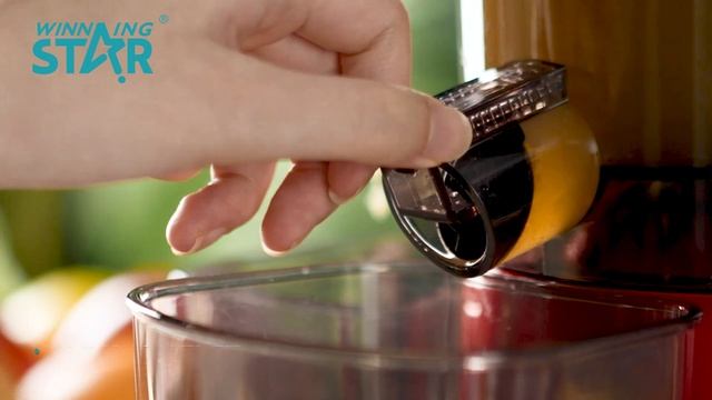 ST-1000 WINNING STAR 150W Electric Juice Extractor Slow Masticating Juicer Machine смотреть онлайн