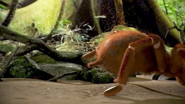 Самые Опасные, Ядовитые, Большие пауки в Мире ! ТОП 9 Мечта Арахнофоба 12+ смотреть онлайн