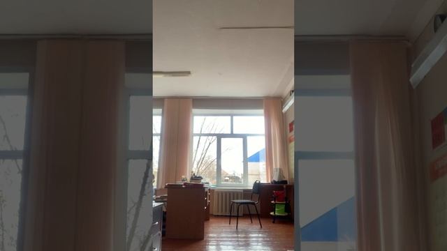 Хвойные и листы окр мир смотреть онлайн