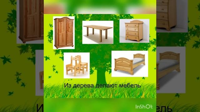 Зачем нужны деревья? смотреть онлайн