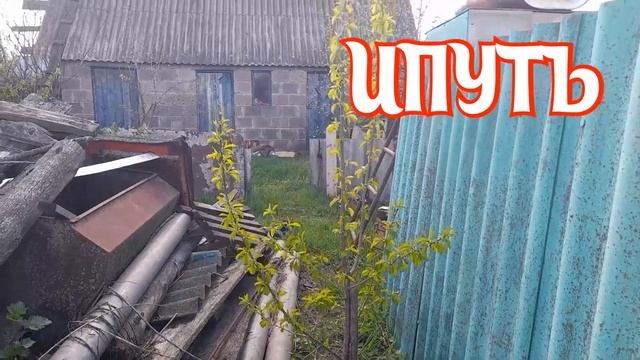 КАК СЕЙЧАС ?ПОЖИВАЮТ??? МОИ ???РАСТЕНИЯ И??? РАССАДА смотреть онлайн