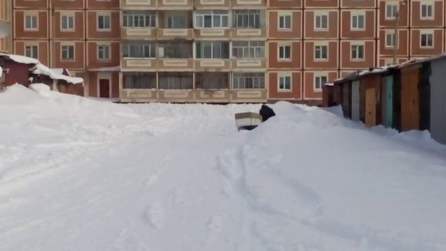 Мотособака.2016г смотреть онлайн