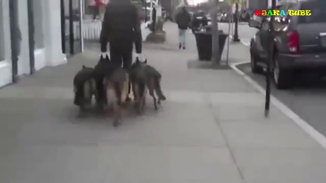 Без слов. Это надо видеть. смотреть онлайн