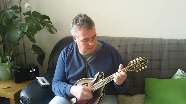 Big Sciota on a 1981 Ibanez 529 mandolin смотреть онлайн
