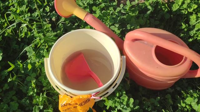 Калимагнезия для роз! Готовим розы к зимовке. смотреть онлайн