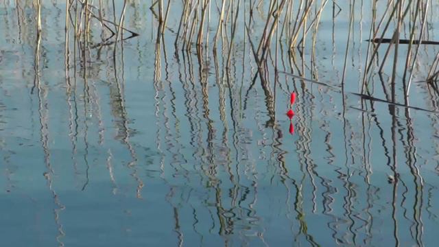 Офигенное видео Карась ловится без прикормки. Carp caught fucking video without bait. смотреть онлайн