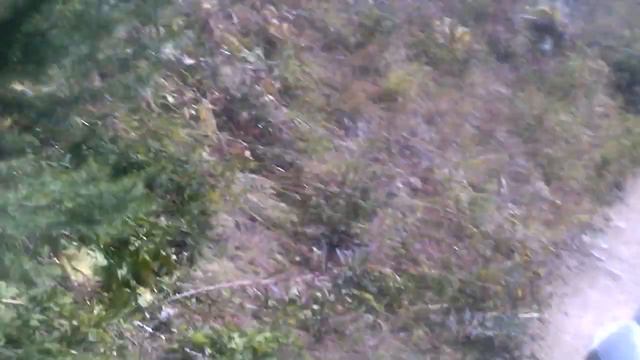 едем едем смотреть онлайн