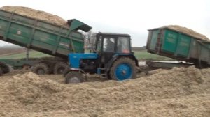 Уборка кукурузы 2017.Множество разнообразной уборочной техники.