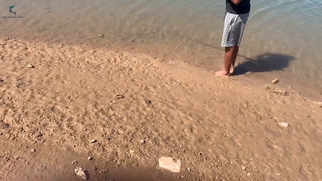 Father Son Fishing 2021 || ❤️والد|| My Teacher || Fresh water fishing 2021|| смотреть онлайн