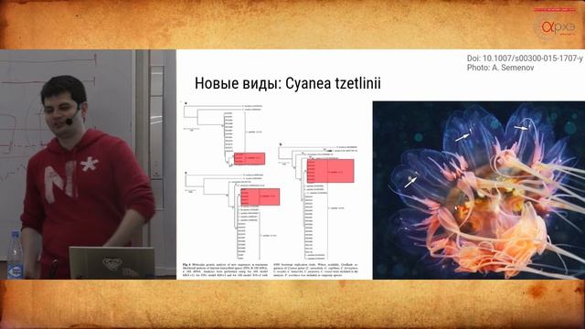 Артур Залевский: 