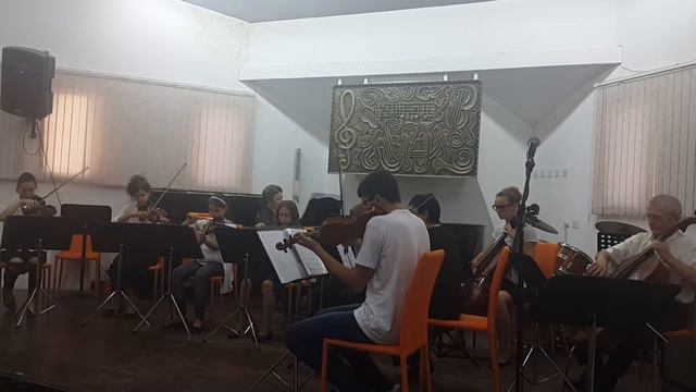 Лебедь.Сен-Санс.Детский оркестр.Арад 23.06.2016 смотреть онлайн