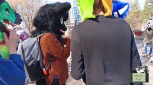 ФУРРИ СХОДКА В КИРОВЕ✅ Моя Лучшая Фурри Сходка