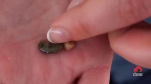 Как насадить мормыша на мормышку