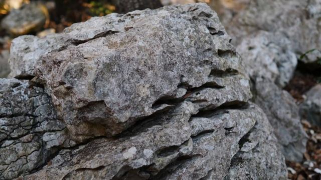 Sono questi i punti PANORAMICI più belli del LAGO di GARDA? смотреть онлайн
