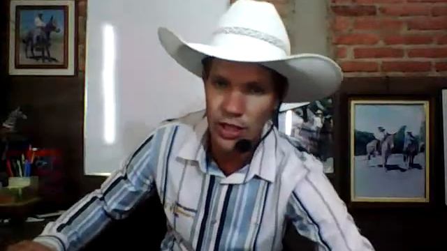 como saber qual a função e melhor manta смотреть онлайн